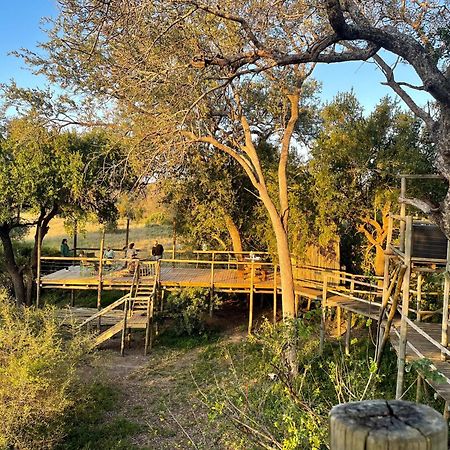 Rhino Walking Safaris Hotel Skukuza Exterior photo