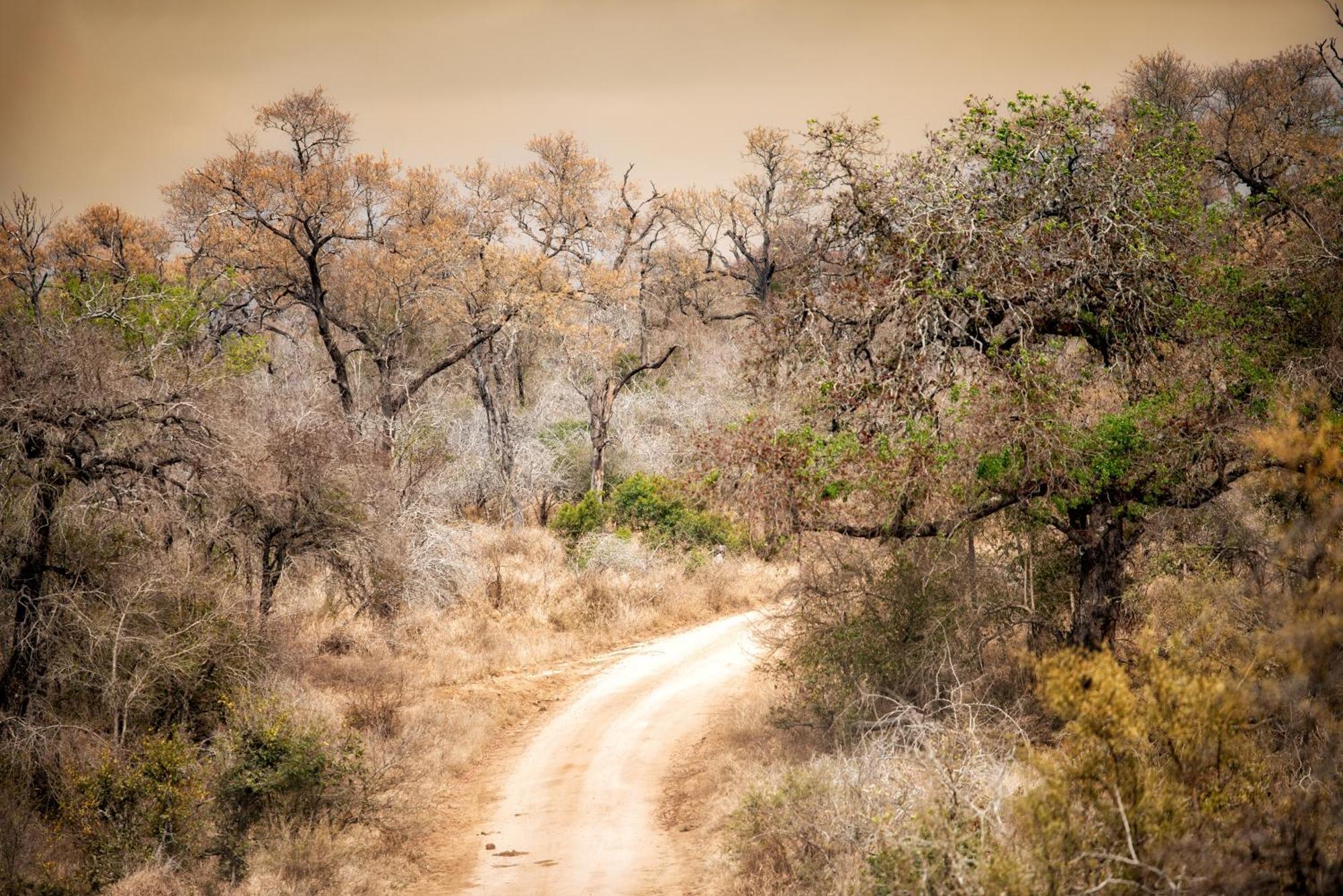 Rhino Walking Safaris Hotel Skukuza Exterior photo