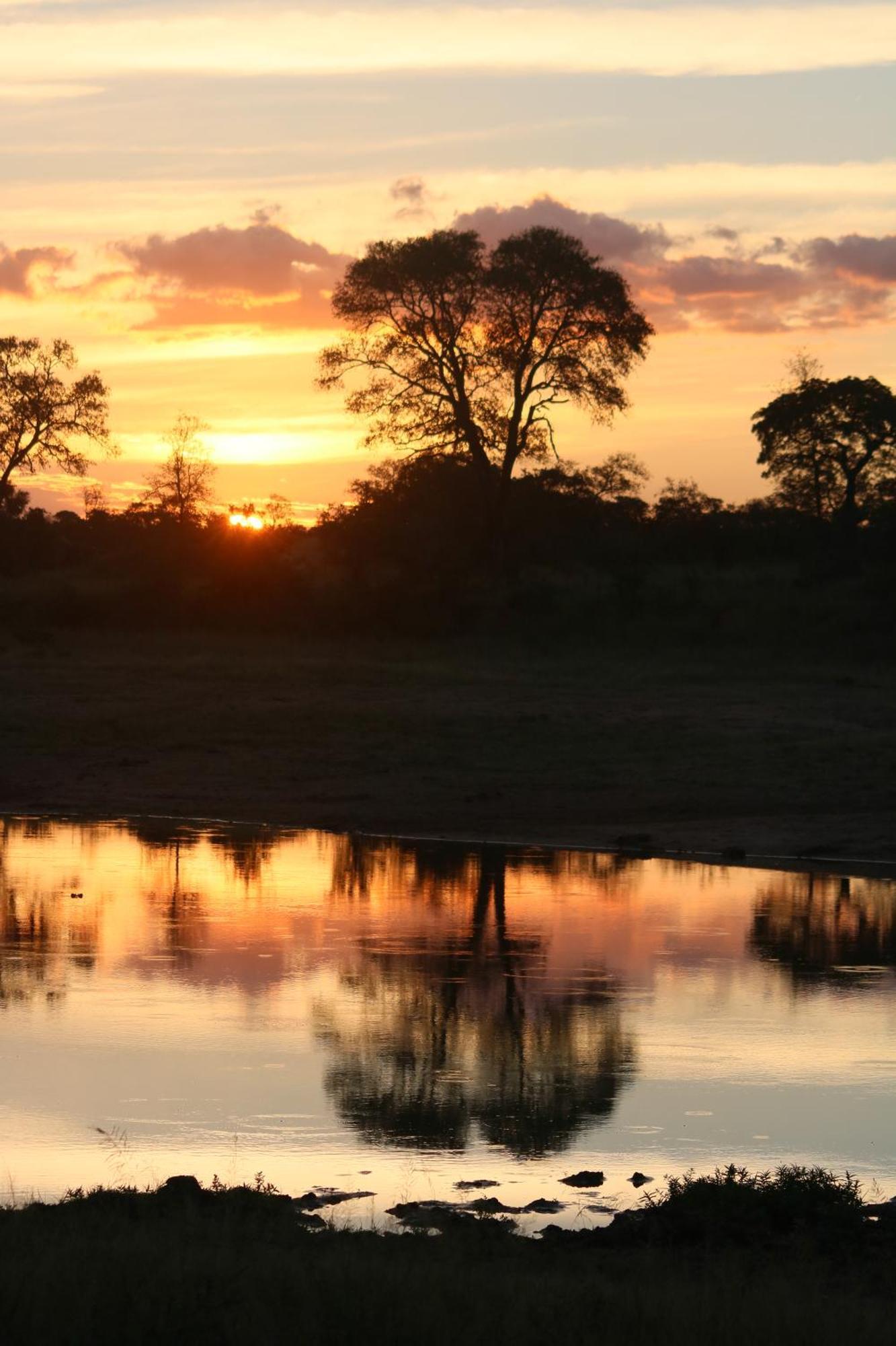 Rhino Walking Safaris Hotel Skukuza Exterior photo