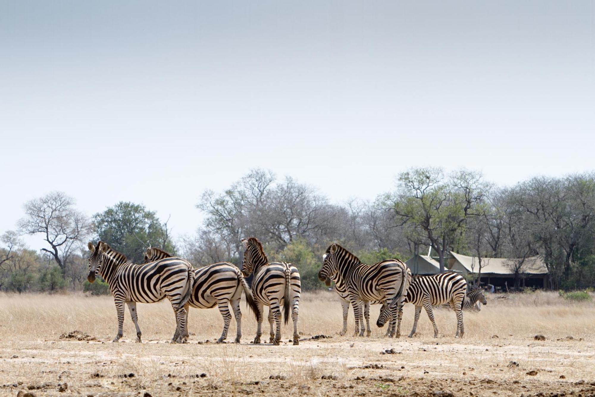 Rhino Walking Safaris Hotel Skukuza Exterior photo