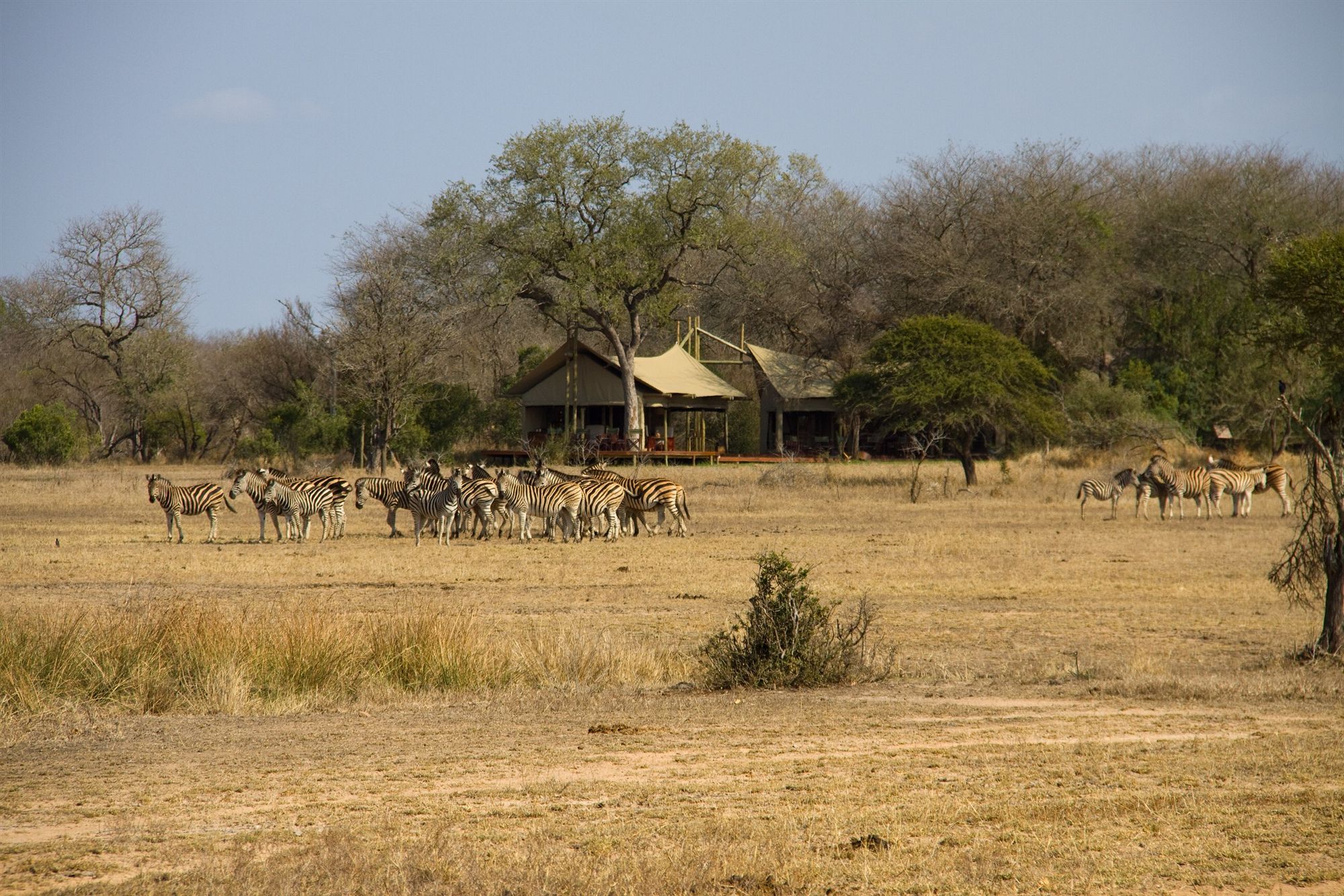 Rhino Walking Safaris Hotel Skukuza Exterior photo