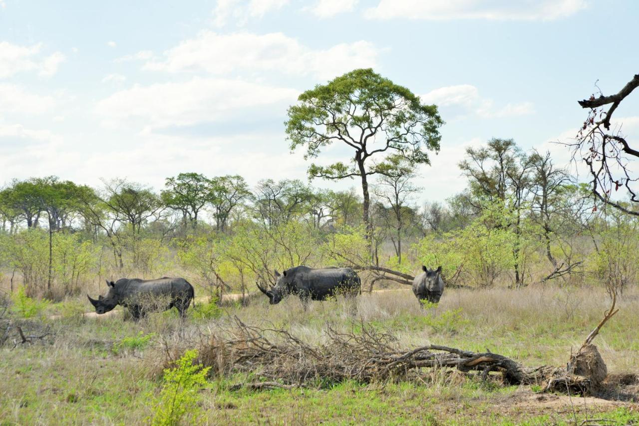 Rhino Walking Safaris Hotel Skukuza Exterior photo